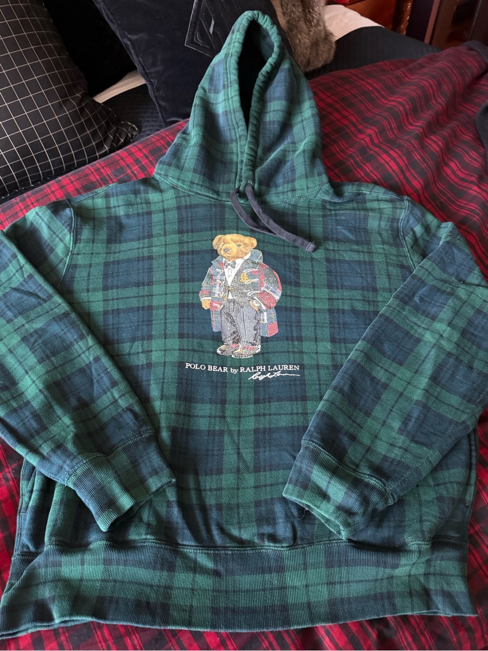Polo Ralph Lauren Black Watch (Green & Navy Plaid) Polo Bear Hooded Sweatshirt